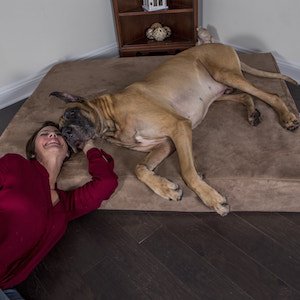 extra large orthopedic dog beds