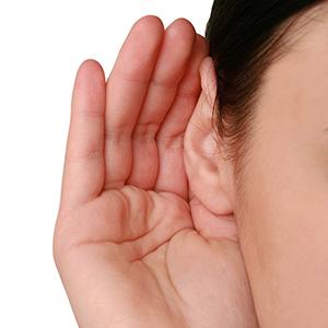 Pro Ears Ear Muffs