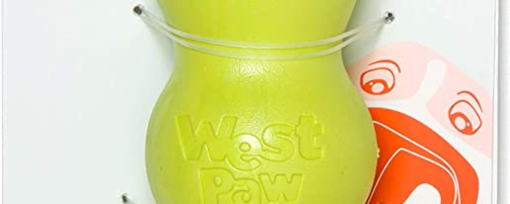 WEST PAW Zogoflex Rumpus Dog Chew Toy