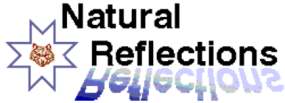 Natural Reflections