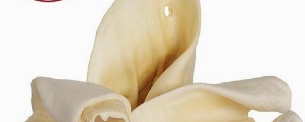 Cow Ears for dogs